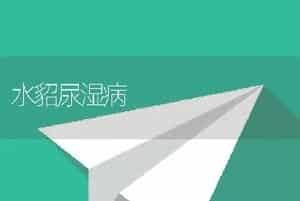 水貂尿湿病