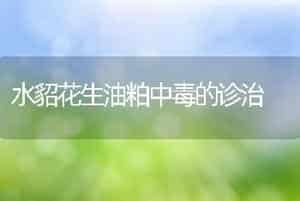 水貂花生油粕中毒的诊治