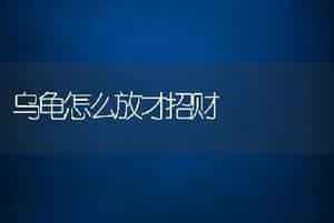 乌龟怎么放才招财