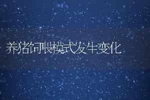 家兔育肥的饲养管理技术