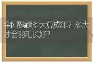 可卡犬的寿命普遍在十一、二年左右？