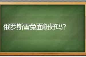 古牧的毛都把眼睛遮住了，怎么看路？