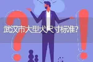 武汉市大型犬尺寸标准？