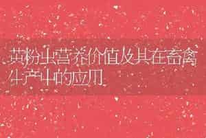 黄粉虫营养价值及其在畜禽生产中的应用