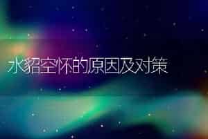 水貂空怀的原因及对策
