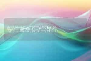 蜗牛蚯蚓怎样混养