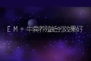 EM+牛粪养殖蚯蚓效果好