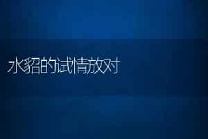 水貂的试情放对