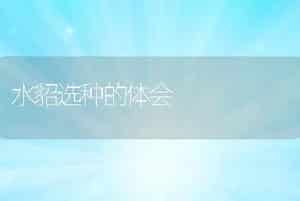 水貂选种的体会
