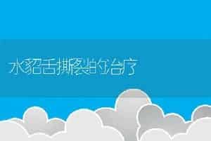 水貂舌撕裂的治疗