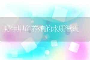 海虾淡水养殖的技术