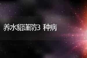 养水貂谨防3种病