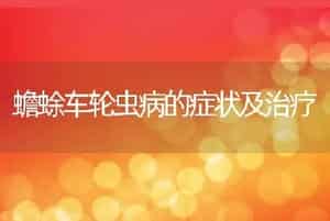 蟾蜍车轮虫病的症状及治疗