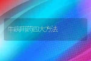牛病用药四大方法