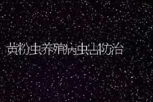 黄粉虫养殖病虫害防治