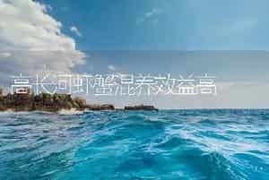 高长河虾蟹混养效益高