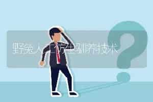野兔人工仿生驯养技术