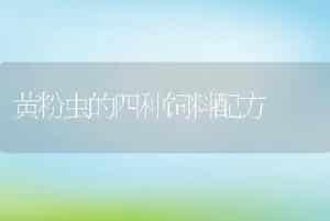 黄粉虫的四种饲料配方