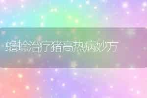 蟾蜍治疗猪高热病妙方