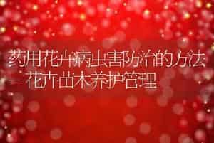 药用花卉病虫害防治的方法-花卉苗木养护管理