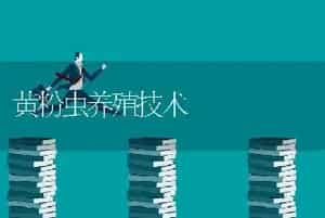 黄粉虫养殖技术