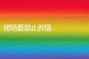 猪场要禁止养猫