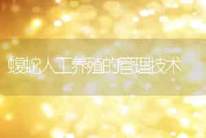 蝮蛇人工养殖的管理技术