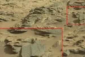 NASA火星照片现“蝎子” 专家推测火星有生命
