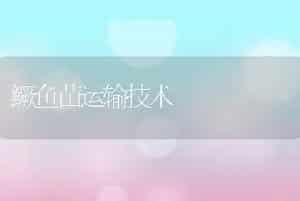 鳜鱼苗运输技术