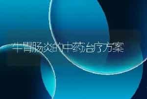牛胃肠炎的中药治疗方案