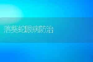 落葵蛇眼病防治
