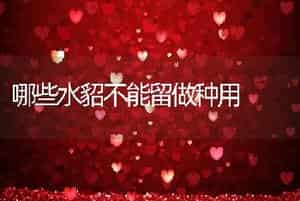 哪些水貂不能留做种用