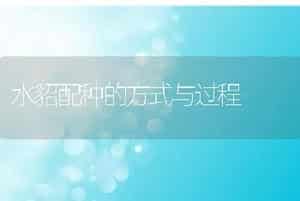 水貂配种的方式与过程
