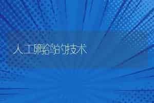 人工孵鸽的技术