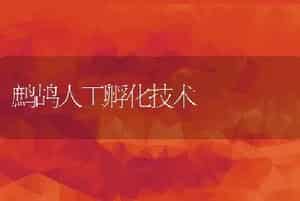 鹧鸪人工孵化技术