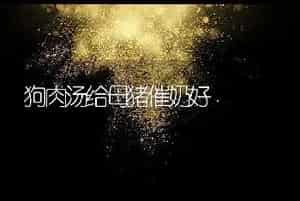 狗肉汤给母猪催奶好