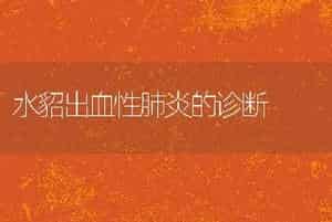 水貂出血性肺炎的诊断