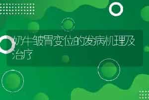 鹿血的鉴别方法