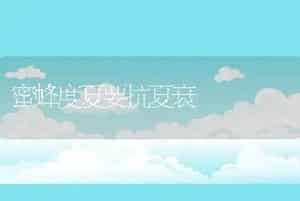 蜜蜂度夏要抗夏衰