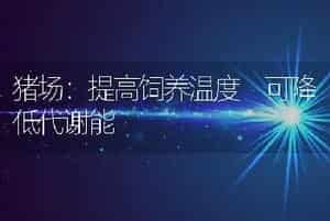 优良肉狗品种--威狮狗