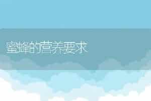 蜜蜂的营养要求