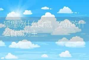 狐狸吃什么食物，狐狸吃什么食物为主