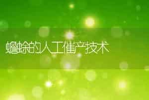 蟾蜍的人工催产技术
