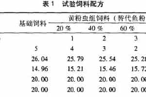 黄粉虫对幼刺参生长、消化和免疫力的影响