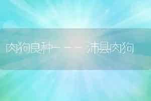 肉狗良种---沛县肉狗