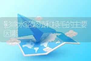 影响水貂繁殖和换毛的主要因素