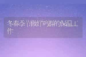 梅花鹿药用加工技巧