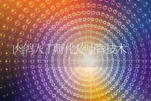 肉鸽人工孵化及哺育技术