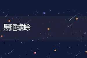 黑眶蟾蜍