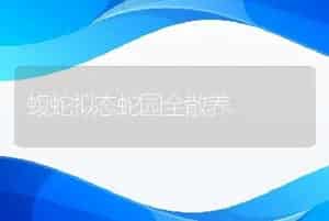鹿茸及副产品加工